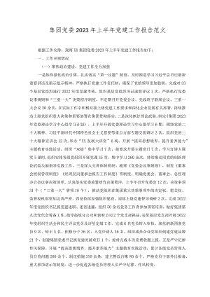 （2篇）集团党委2023年上半年党建工作报告（附党课讲稿）.docx