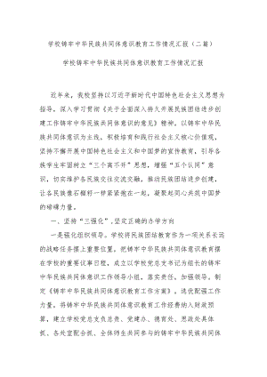 学校铸牢中华民族共同体意识教育工作情况汇报(二篇).docx