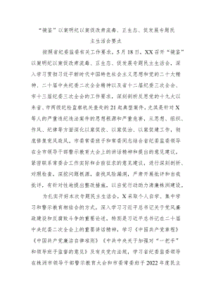 “镜鉴”以案明纪以案促改肃流毒、正生态、促发展专题民主生活会要点.docx