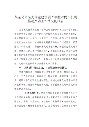 某某公司某支部党建引领“双融双促”机制推动产销工作情况的报告.docx