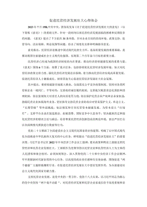促进民营经济发展壮大心得体会.docx