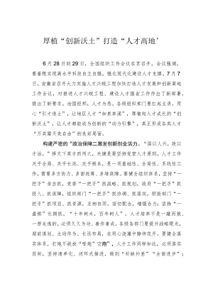 厚植“创新沃土”打造“人才高地”.docx