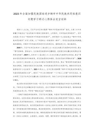（4篇）2023年全面加强民族团结进步铸牢中华民族共同体意识专题学习研讨心得体会发言材料.docx