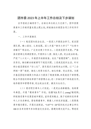团市委2023年上半年工作总结及下步谋划.docx