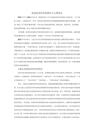 促进民营经济发展壮大心得体会04.docx