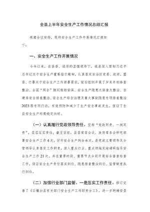 2023年上半年安全生产工作情况总结汇报5篇.docx