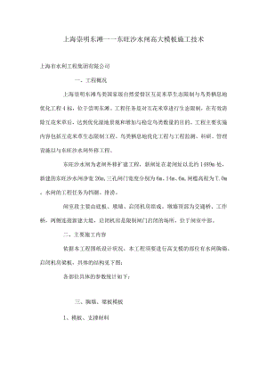 上海崇明东滩——东旺沙水闸高大模板施工技术.docx