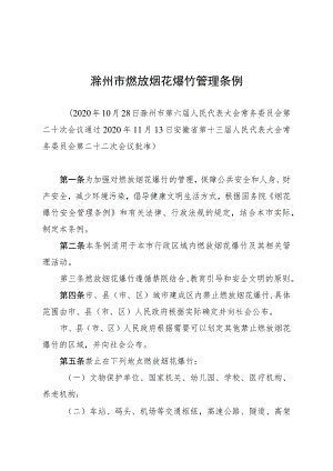 滁州市燃放烟花爆竹管理条例.docx