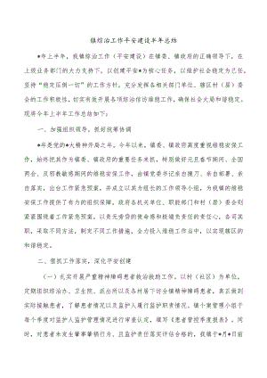 镇综治工作平安建设半年总结.docx