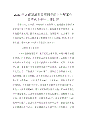 2023年X市发展和改革局党组上半年工作总结及下半年工作打算.docx