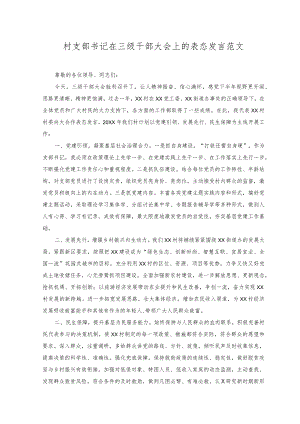（2篇）村支部书记在三级干部大会上的表态发言+打造“石榴籽服务站”构建最强磁场基层经验材料.docx