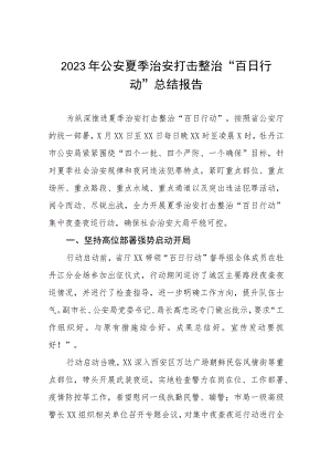 2023夏季治安打击整治“百日行动”工作总结七篇.docx