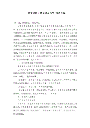 党支部班子意见建议范文(精选9篇).docx