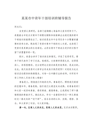 某某市中青年干部培训班辅导报告.docx