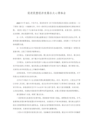 （3篇）2023年促进民营经济发展壮大心得体会.docx