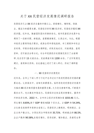 关于XX民营经济发展情况调研报告.docx