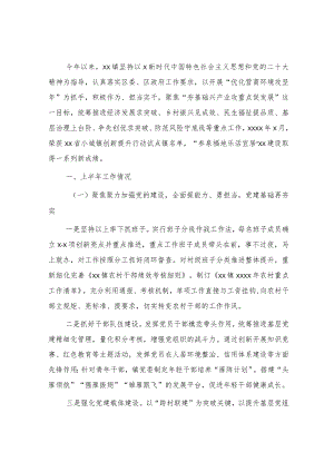 乡镇人民政府2023年上半年工作总结及下半年工作打算.docx