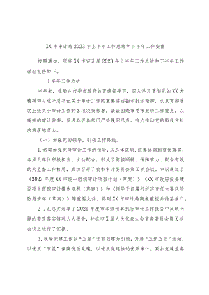 XX市审计局2023年上半年工作总结和下半年工作安排.docx