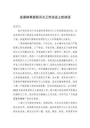 在森林草原防灭火工作会议上的讲话.docx