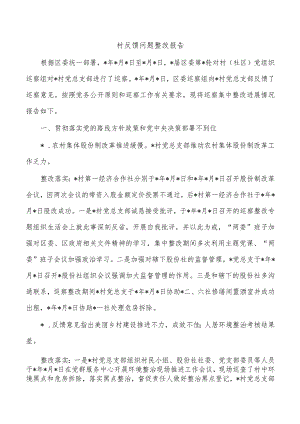 村反馈问题整改报告.docx
