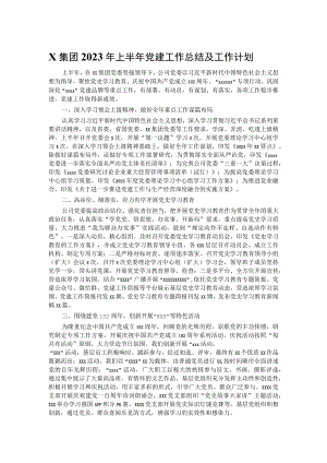 X集团2023年上半年党建工作总结及工作计划.docx