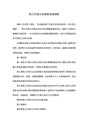 职工代表大会制度实施细则.docx