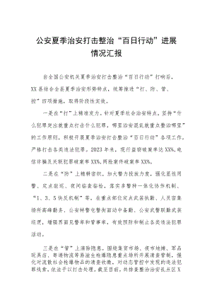 公安深入推进夏季治安打击整治“百日行动”工作总结报告七篇.docx