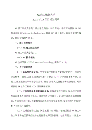 XX理工职业大学202X年XX项目招生简章.docx