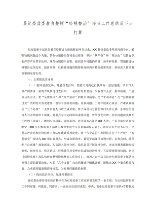 （2篇）2023年纪委监委教育整顿“检视整治”环节工作总结及下步打算+纪委监委纪检监察干部队伍教育整顿检视整治环节工作汇报.docx
