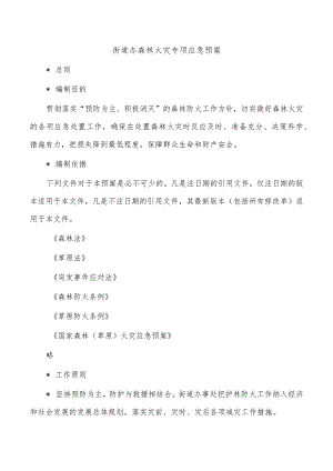 街道办森林火灾专项应急预案.docx