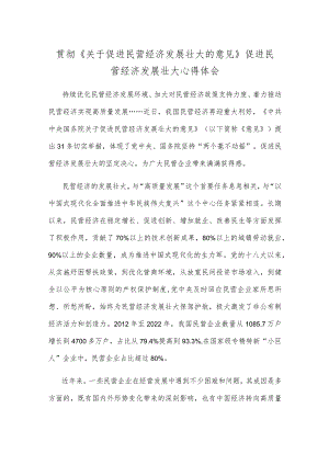 贯彻《关于促进民营经济发展壮大的意见》促进民营经济发展壮大心得体会.docx