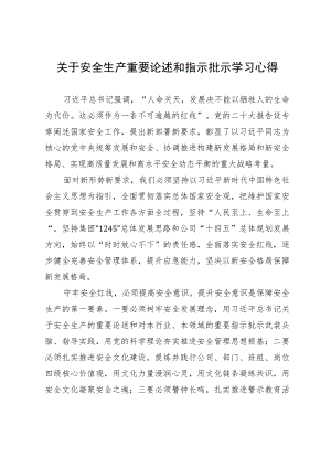 关于安全生产重要论述和指示批示学习心得.docx