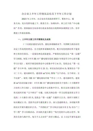 办公室上半年工作情况总结及下半年工作计划.docx