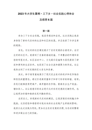 2023年大学生暑期“三下乡”社会实践心得体会及感想6篇.docx