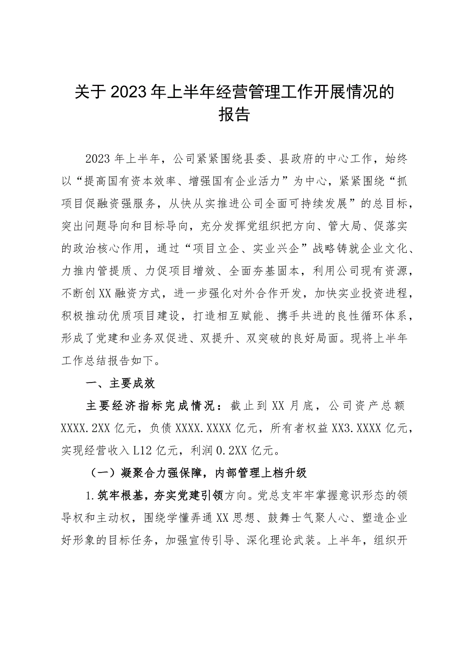 公司关于2023年上半年经营管理工作开展情况的报告.docx_第1页
