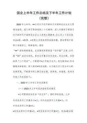 国企上半年工作总结及下半年工作计划（完整）.docx