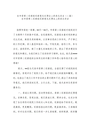 在市委第二巡察组巡察意见反馈会上的表态发言(二篇).docx