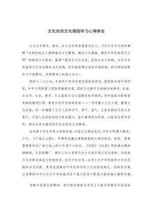 2023文化自信文化强国学习心得体会12篇(最新精选).docx