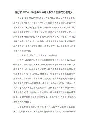 某学校铸牢中华民族共同体意识教育工作情况汇报范文.docx