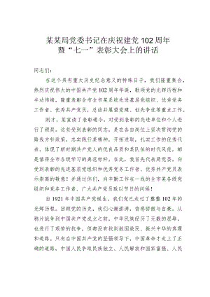 某某局党委书记在庆祝建党102周年暨“七一”表彰大会上的讲话.docx