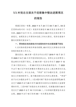 村党总支部关于巡察集中整改进展情况的报告.docx