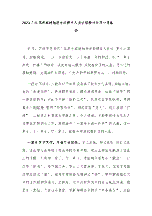 2023在江苏考察时勉励年轻研发人员讲话精神学习心得体会3篇.docx