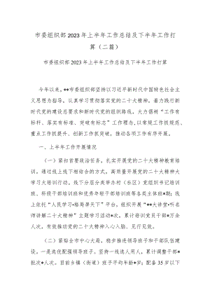市委组织部2023年上半年工作总结及下半年工作打算(二篇).docx