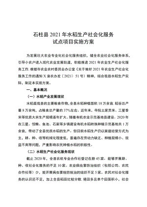 石柱县2021年水稻生产社会化服务试点项目实施方案.docx