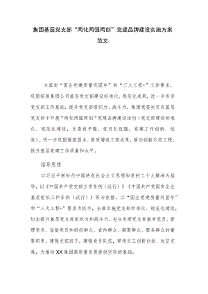集团基层党支部“两化两强两创”党建品牌建设实施方案范文.docx