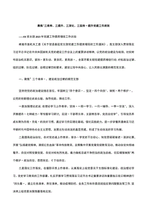 XX党支部2023年党建提质增效工作总结.docx
