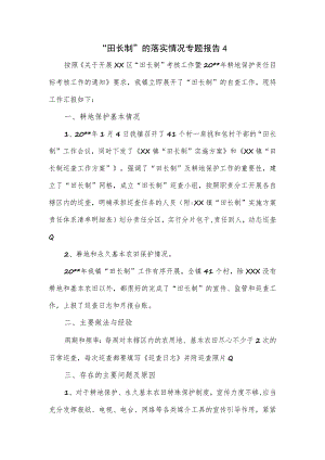 “田长制”的落实情况专题报告四.docx