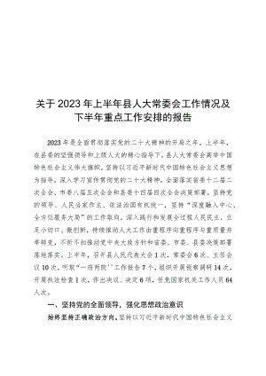 人大2023年上半年工作总结.docx