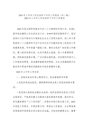 2023年上半年工作总结和下半年工作谋划(共二篇).docx