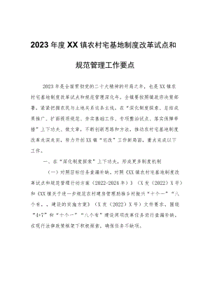 2023年度XX镇农村宅基地制度改革试点和规范管理工作要点.docx